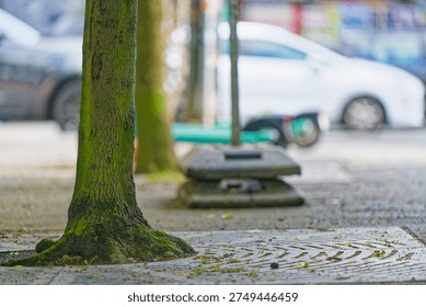 A mossy tree trunk growing through a patterned sidewalk in an urban area with blurred cars and street elements in the background.