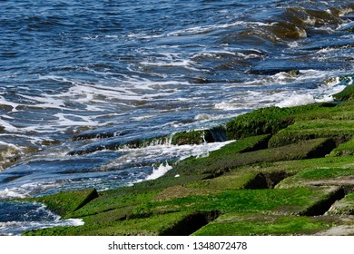 Mossy Wave Breakers At Galveston Seawall