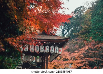 Most Beautiful Ancient Japanese Temple Or Shine In Kyoto Around Red Maple Forest In Autumn Season.29 November 2017.Kyoto, JAPAN.
