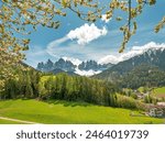 The most beautiful and famous place in the Italian Alps is the village of Santa Magdalena in the spring, with amazing views of the Dolomites. South Tyrol, Val di Funes, Trentino, Italien, Europa.