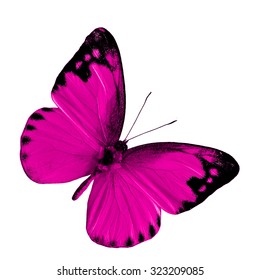 Similar Images, Stock Photos & Vectors of Beautiful Pink butterfly ...