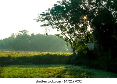 Bangladesh Scenery Images, Stock Photos & Vectors | Shutterstock