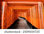 The most beautiful viewpoint of Fushimi Inari Taisha(Fushimi Inari Shrine) is a popular tourist destination in Kyoto, Japan.(The Japanese text mean :bless you)