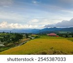 The most beautiful village in the world with beautiful views of yellow rice fields is immortalized in Nagari Tuo Pariangan, Indonesia