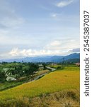 The most beautiful village in the world with beautiful views of yellow rice fields is immortalized in Nagari Tuo Pariangan, Indonesia