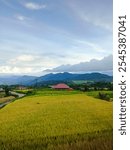 The most beautiful village in the world with beautiful views of yellow rice fields is immortalized in Nagari Tuo Pariangan, Indonesia