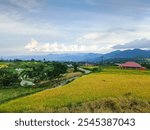 The most beautiful village in the world with beautiful views of yellow rice fields is immortalized in Nagari Tuo Pariangan, Indonesia