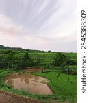 The most beautiful village in the world with beautiful views of green rice fields is immortalized in Nagari Tuo Pariangan, Indonesia