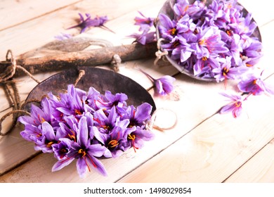 most expensive flower is Iranian saffron - Shutterstock ID 1498029854