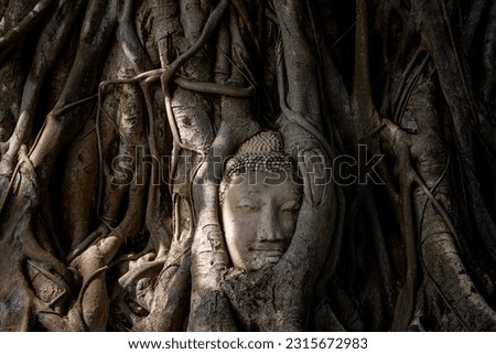 The most photographed object of the Head of the Buddha with tree trunk and roots growing around in Wat Phra Mahathat area, a famous temple in historical park in Ayutthaya, Thailand.  