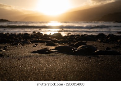 A mostly blurred closeup of black sand beach with volcanic rocks at sunset. Dramatic landscape. Golden hour at the sea shore. Warm evening by the ocean in Tenerife, the Canary Islands, Spain.