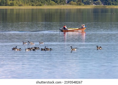 Motala Sweden August 2022
An Elderly Couple In A Smaller Motor Boat, Also A Bunch Of Canada Geese In The Water