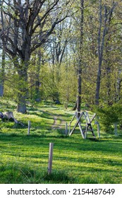 Motala Sweden May 2022
Swedish Nature At Its Best. Nature Reserve In Motala. 