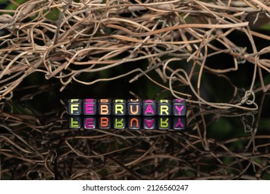 Mote alphabet blocks arranged into "February" against the background of dry twigs of vines.
