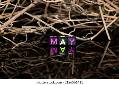 Mote alphabet blocks arranged into "May" against a background of dry twigs of vines.
