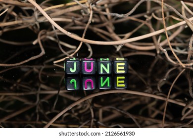 Mote alphabet blocks arranged into "June" against a background of dry twigs of vines.