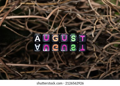 Mote alphabet blocks arranged into "August" against a background of dry twigs of vines.