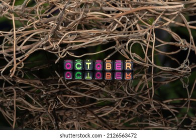 Mote alphabet blocks arranged into "October" against a background of dry twigs of vines.