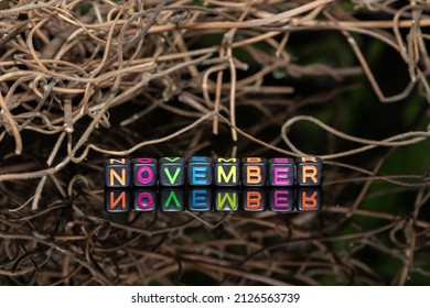Mote alphabet blocks arranged into "November" against the background of dry twigs of vines.