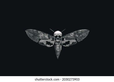 Moth with skull. Monochrome butterfly with death symbol. Insect or gothic culture concept.