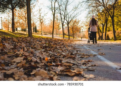 Mother With Baby Carriage Walking In Park