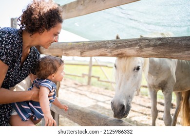 Mother and baby looking a white horse through the wooden fences of an outdoor stable