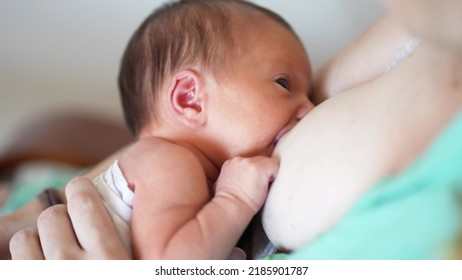 mother breastfeeds baby. newborn sucking a mother breast through a rubber nozzle. motherhood child care concept. mom breastfeeds baby. motherhood, infantry lifestyle, parent and childhood concept