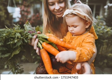 Mother and child daughter with organic vegetables healthy food family lifestyle homegrown beet and carrot local farming gardening vegan nutrition concept - Powered by Shutterstock