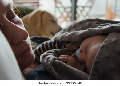 Mother, Child And Dog Sleeping At Home