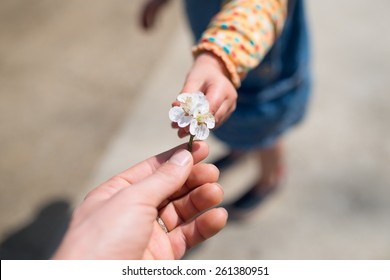 Mother And Child To Hand Over The Plum Flower