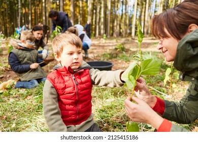 Mother and child with tree seedling doing arborology lesson at environmental protection campaign