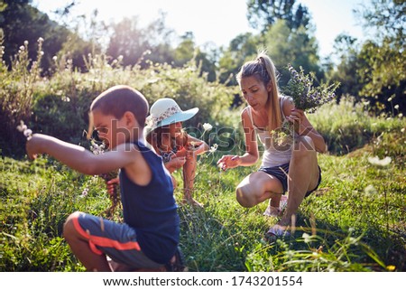 Similar – Image, Stock Photo little boy picks flowers in the garden