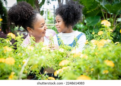 Mother and daughter choosing plants or herbs at garden center shop. Botanical garden, flower farming, horticultural industry concept