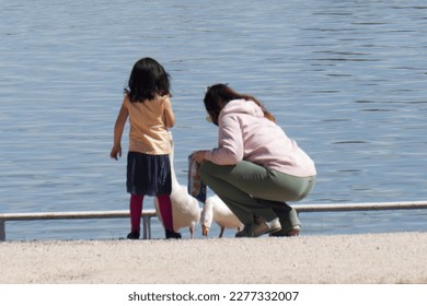 Mother and daughter feeding geese