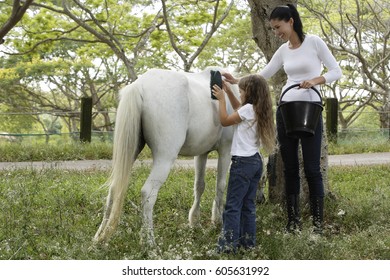 mother and daughter grooming horse - Powered by Shutterstock