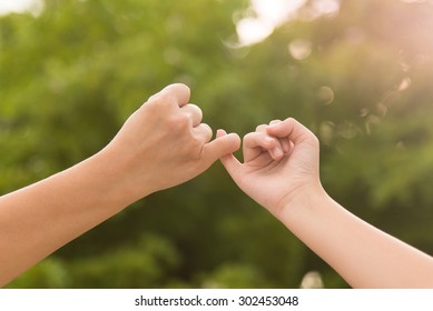 Mother and daughter making a pinkie promise on nature background - Shutterstock ID 302453048
