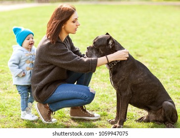 Mother and daughter in the park walking with their big dog Cane Corso