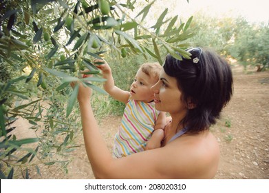 Mother And Daughter Picking Olive From Tree