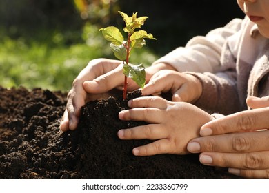 Mother and daughter planting young tree in garden, closeup - Powered by Shutterstock