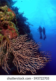 Mother And Daughter Scuba Diving In Little Cayman 