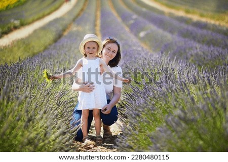 Similar – In the lavender field