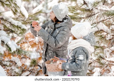 Mother And Daughter In Winter Time In Snow Forest Decorate Christmas Tree Outdoors. Girl With Child Kid In Wood In Cold Weather