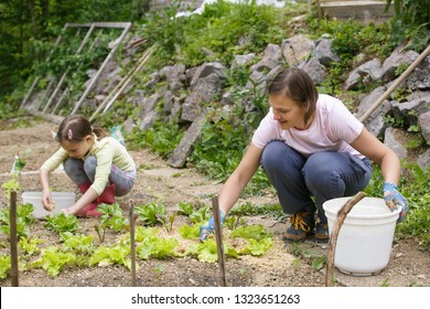 Mother and daughter working together in the vegetable garden. Quality time, mother-daughter relationship, bonding and homegrown organic food concept.  - Shutterstock ID 1323651263