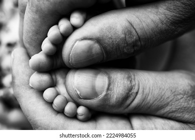 Mother is doing massage on her baby foot. Closeup baby feet in mother hands. Prevention of flat feet, development, muscle tone, dysplasia. Family, love, care, and health concepts. Black and white . - Powered by Shutterstock