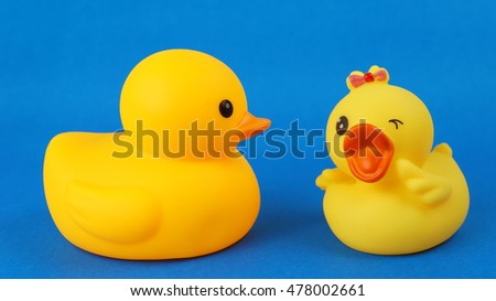 Mother duck and her adorable little baby