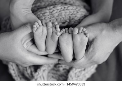 Mother And Father`s Hands Cradling Twin Babies Feet 