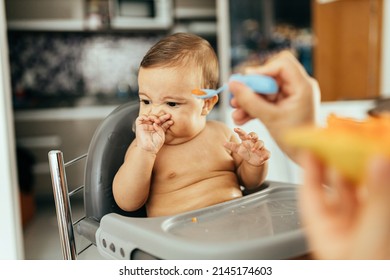 Mother Feeding Child. First Solid Food For Children. Baby Weaning