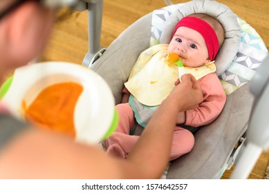 Mother Feeding Hungry Five Month Old Funny Baby With Solid Food. Beagle Dog Watching Curiously.