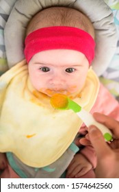 Mother Feeding Hungry Five Month Old Funny Baby With Solid Food. Beagle Dog Watching Curiously.