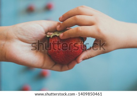 Similar – Woman holds strawberries in her hands